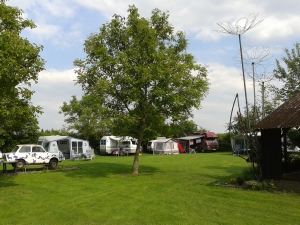 Boerderijcamping limburg, minicamping 't Haldert in Herkenbosch